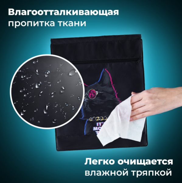 Мешок для обуви BRAUBERG, с петлёй, карман на молнии, 47х37 см., рисунок Кот в очках